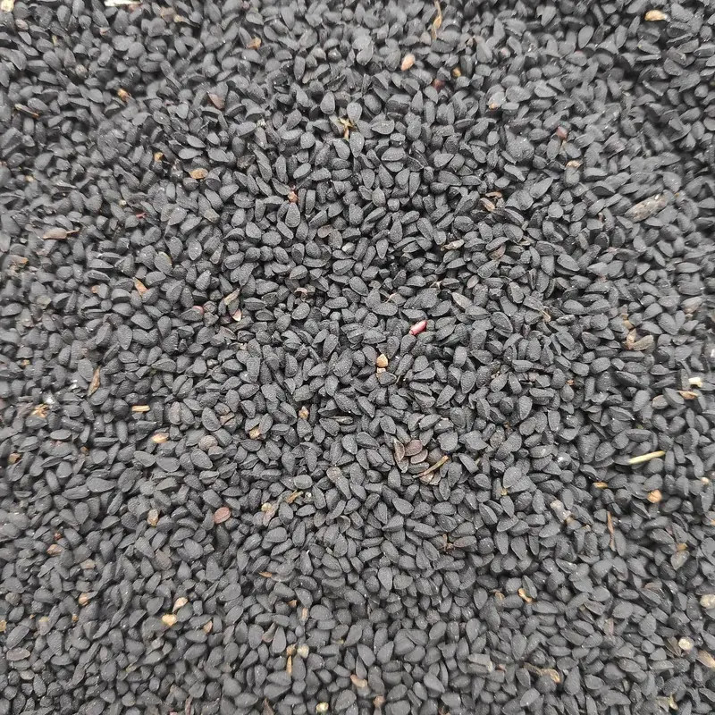 Black Seed (Nigella sativa)
