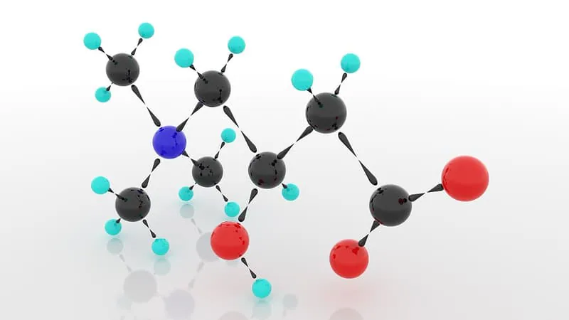L-Carnitine